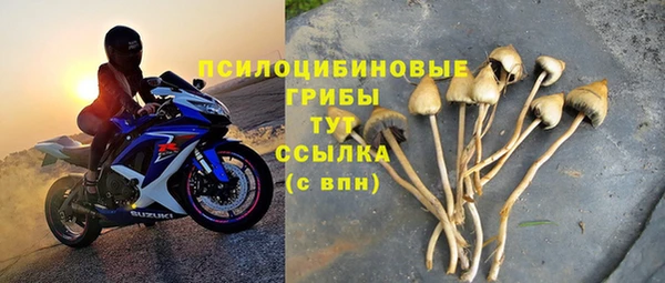 MDMA Медногорск