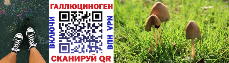 Псилоцибиновые грибы Magic Shrooms  Первомайск 